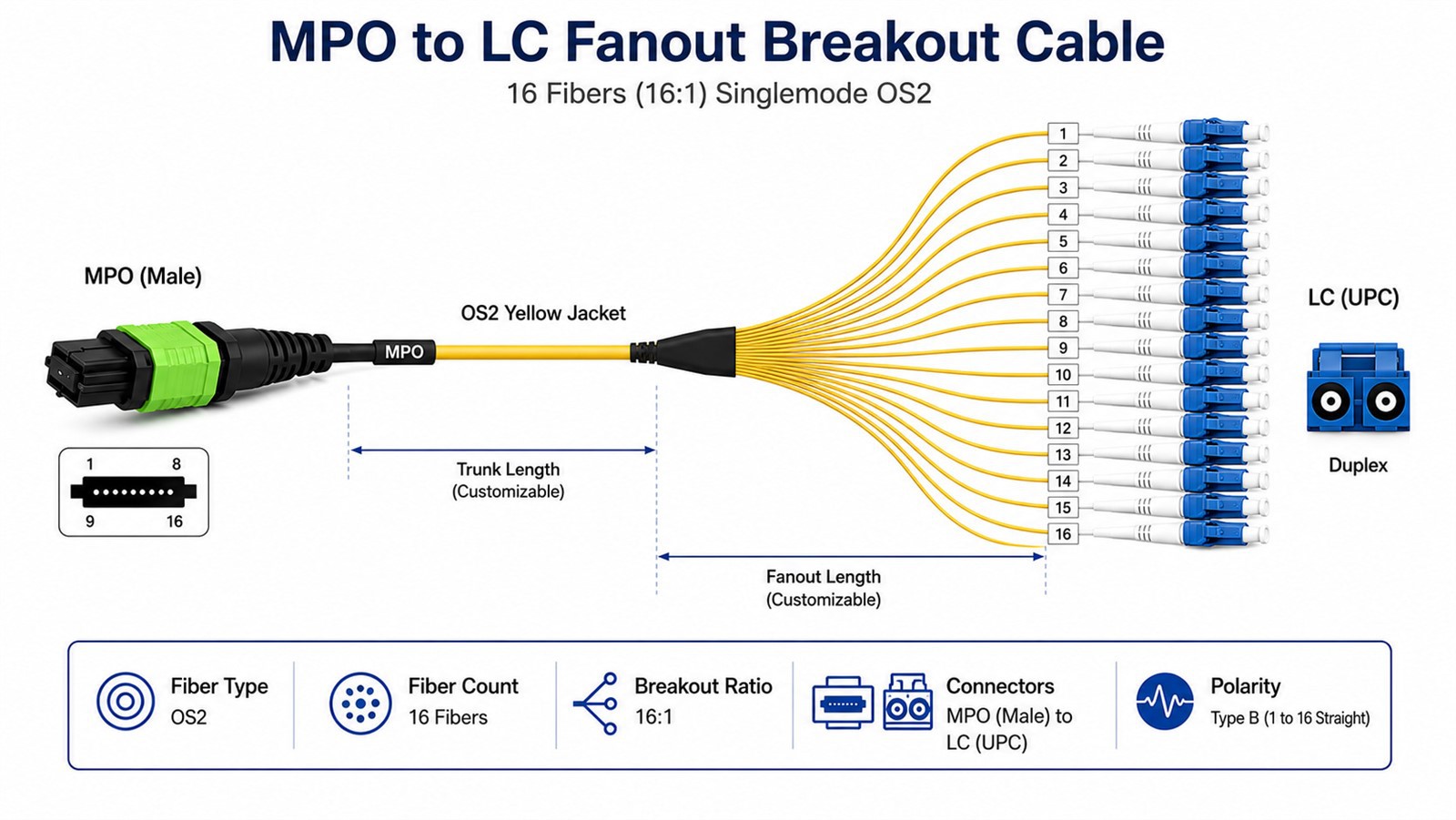 Breakout Cable Guide: Parallel Fiber Applications for 40G Through 800G Networks