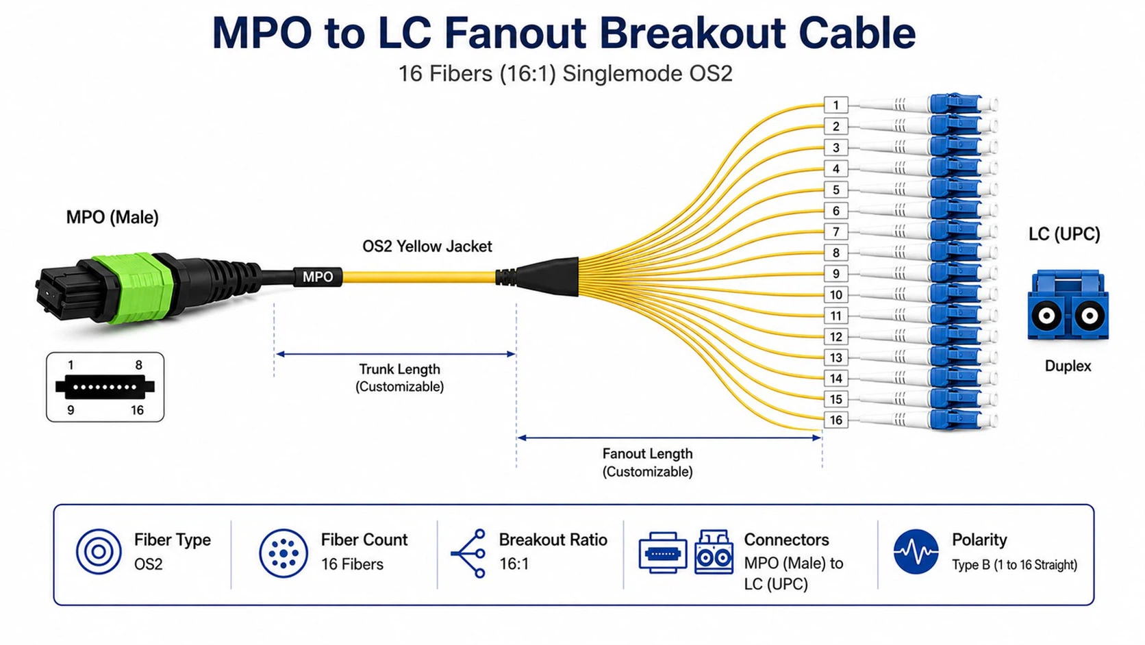 Fiber optic breakout cable technical diagram showing MPO to LC fanout Fiber optic breakout cable technical diagram showing MPO to LC fanout